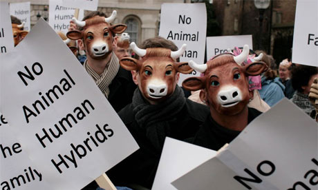 Protesters outside parliament on the first day of the report stage of the human fertilisation and embryology bill in the UK House of Lords, January 2008. Photograph: Andrew Parsons/PA Wire